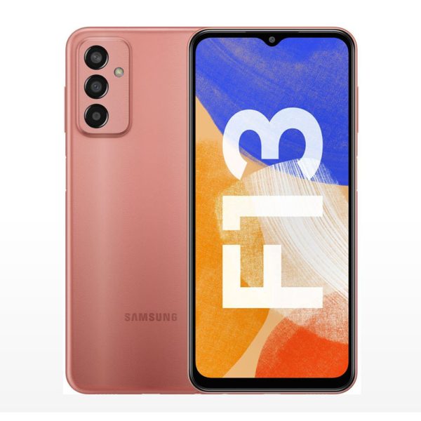 Reparar Samsung Galaxy F13